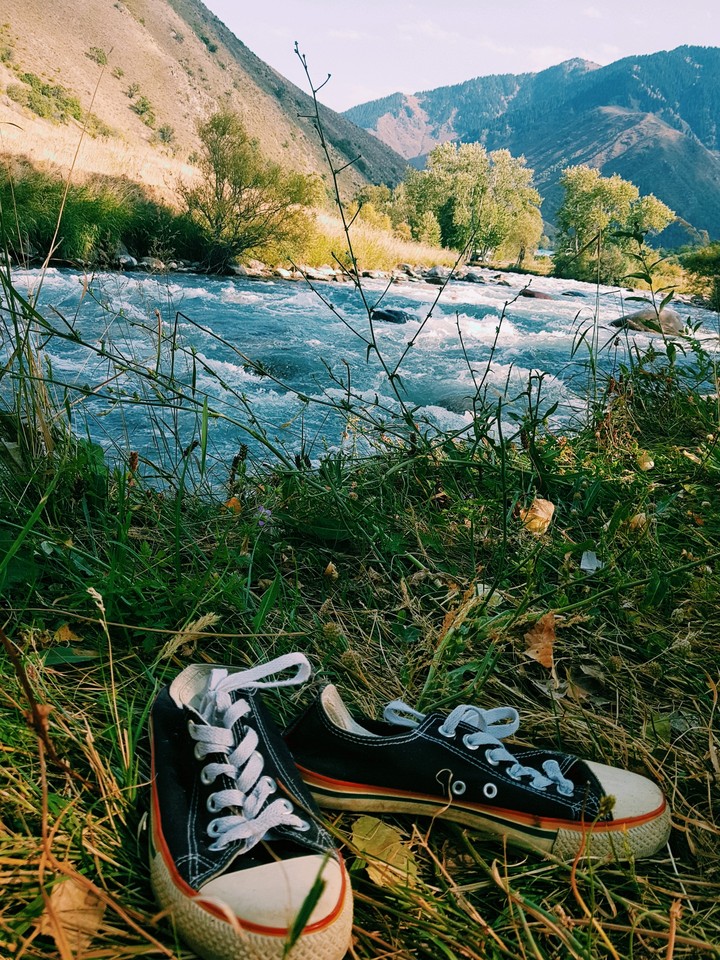 sneakers