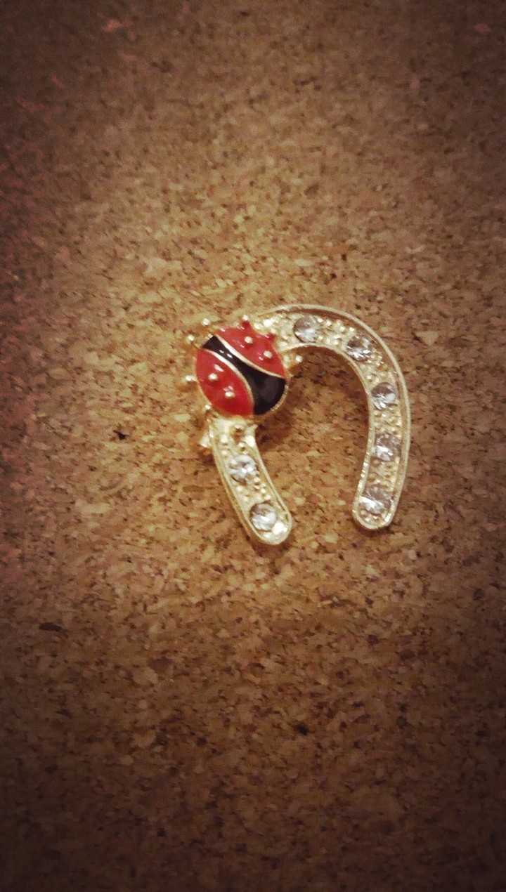 Horse Shoe with a Ladybug