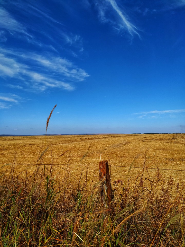 Farm