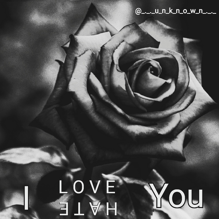 i love/hate you