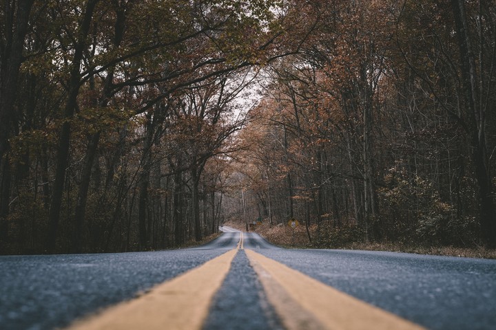 Road Marking & Trees