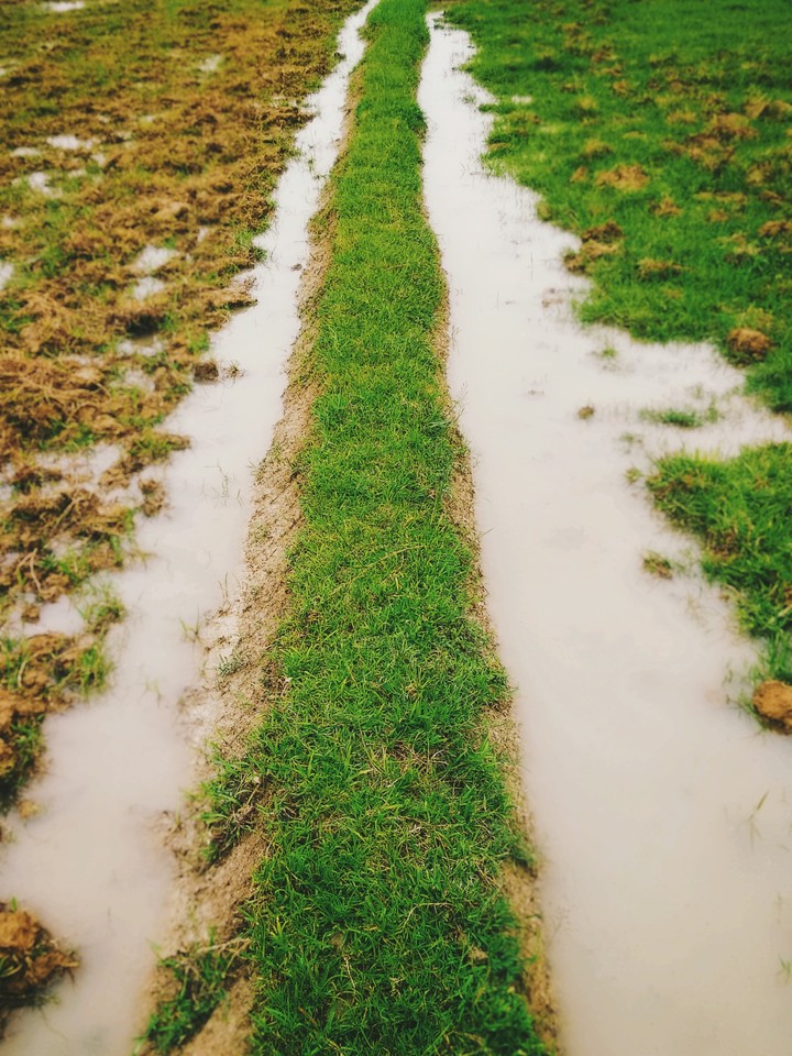 single walking Road