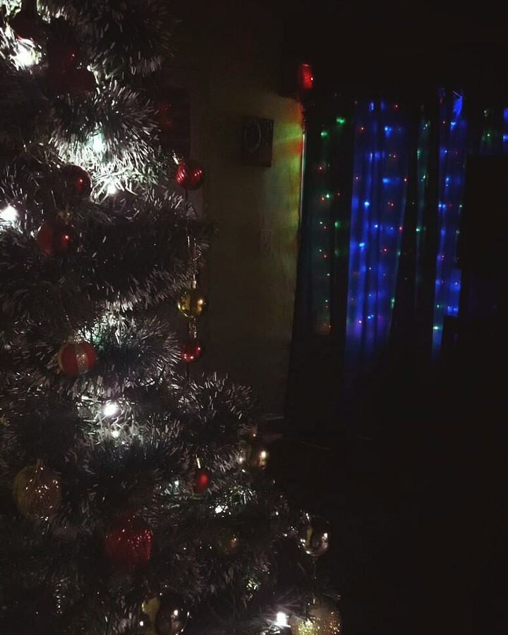 8 de Diciembre