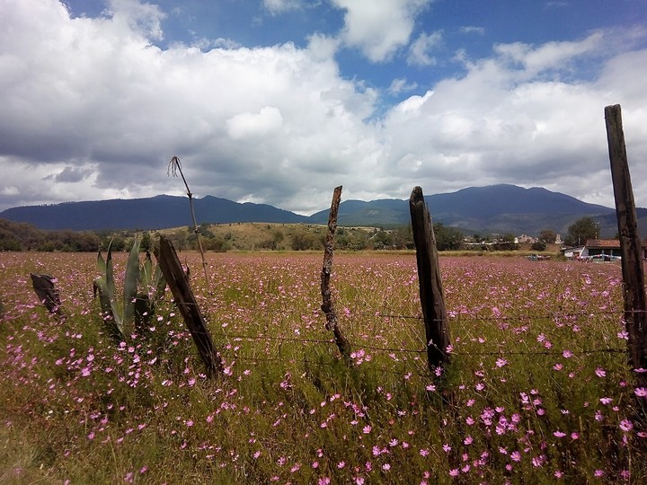 cerro de san andres..!!