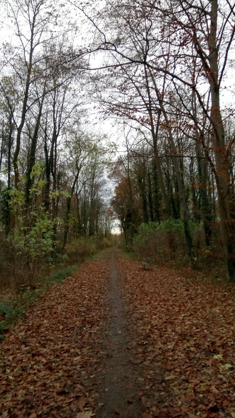 the path of life