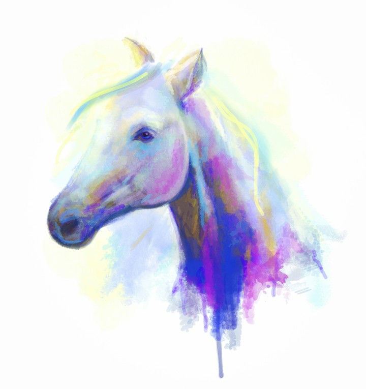 horse obraz