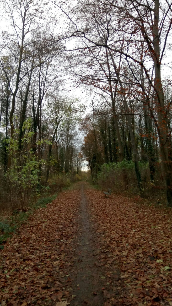 the path of life