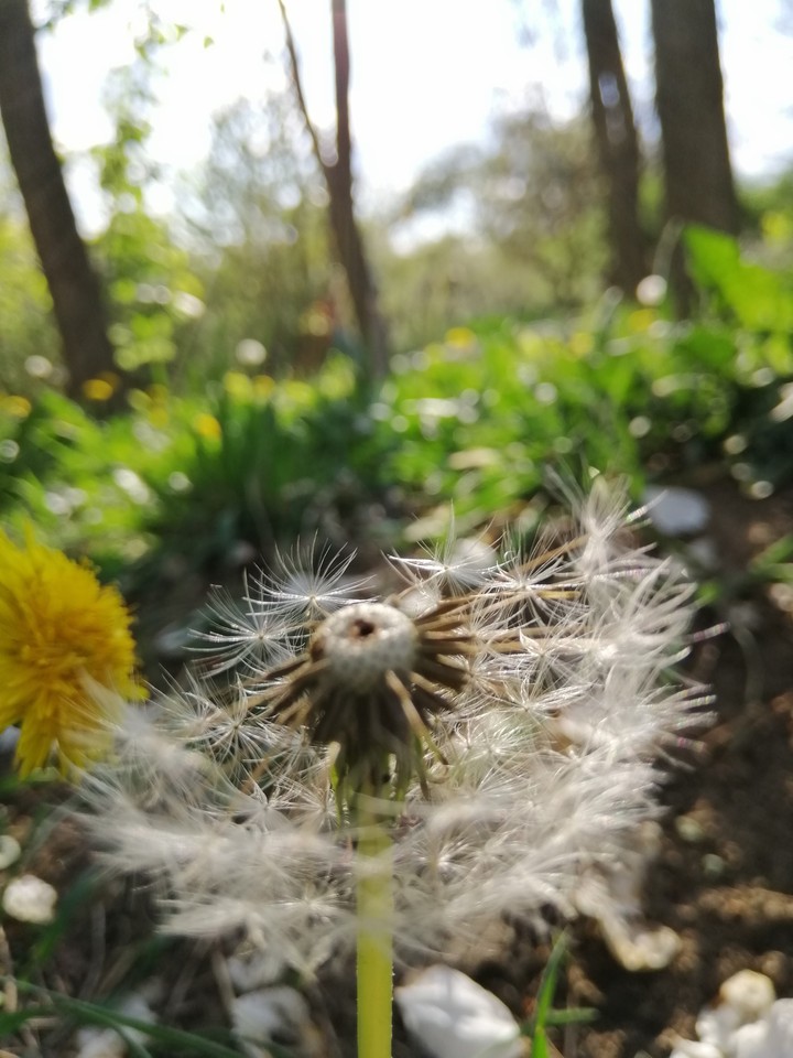 Nature