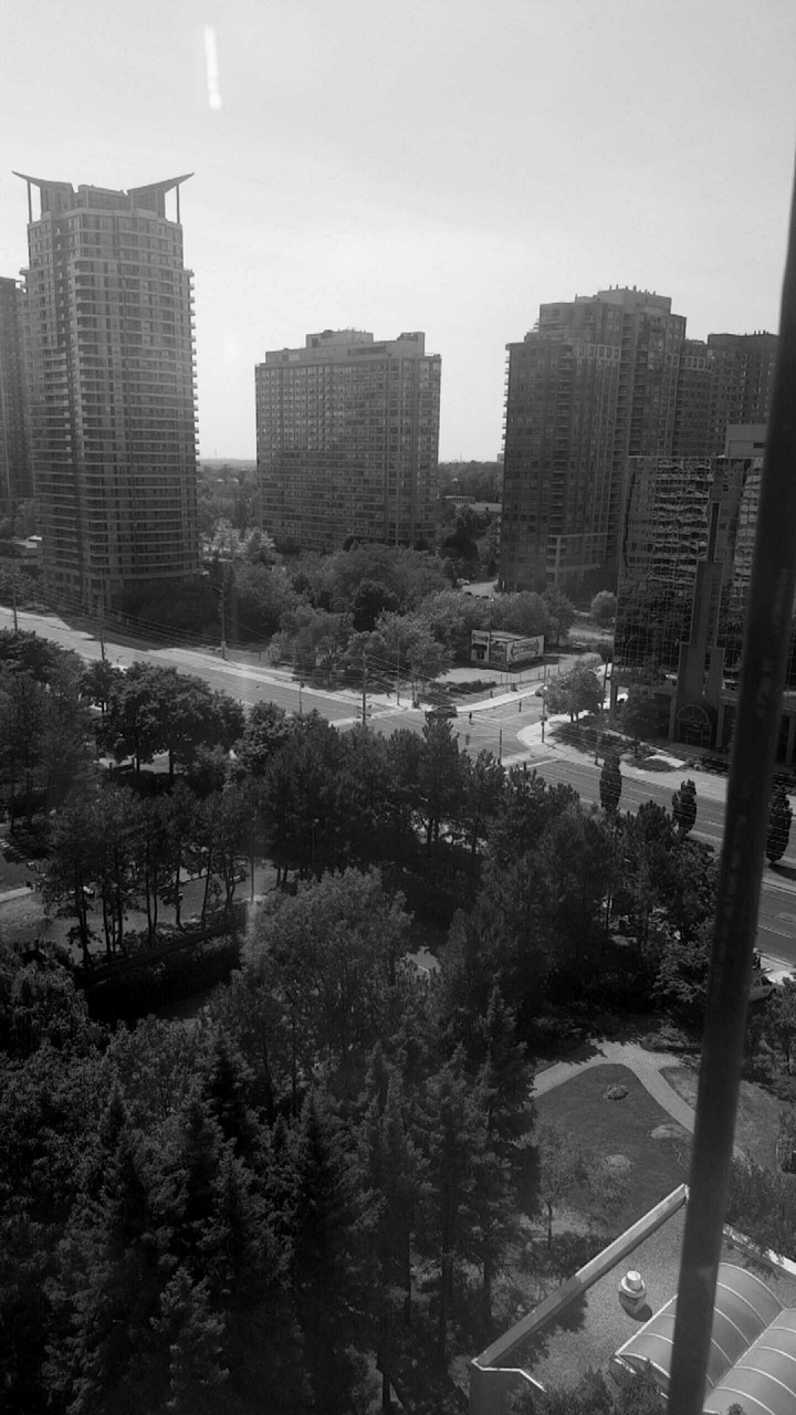 black and white city