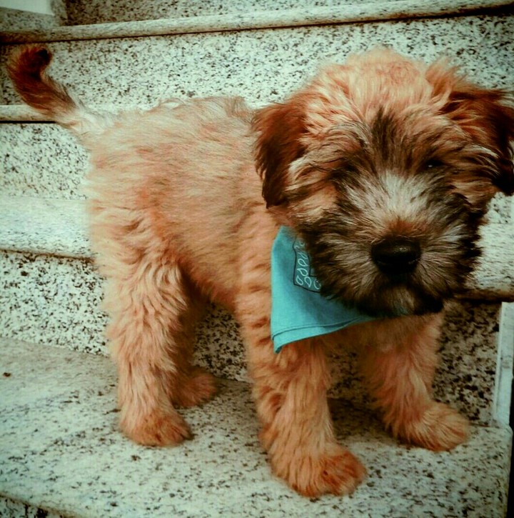 TOO CUTE TO BE REAL!