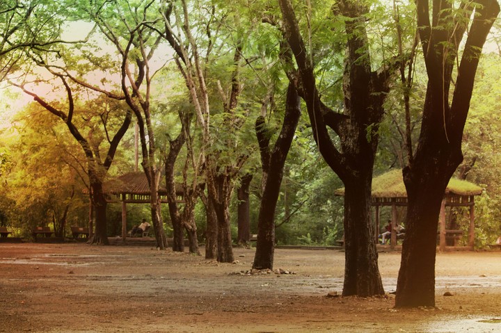 national park