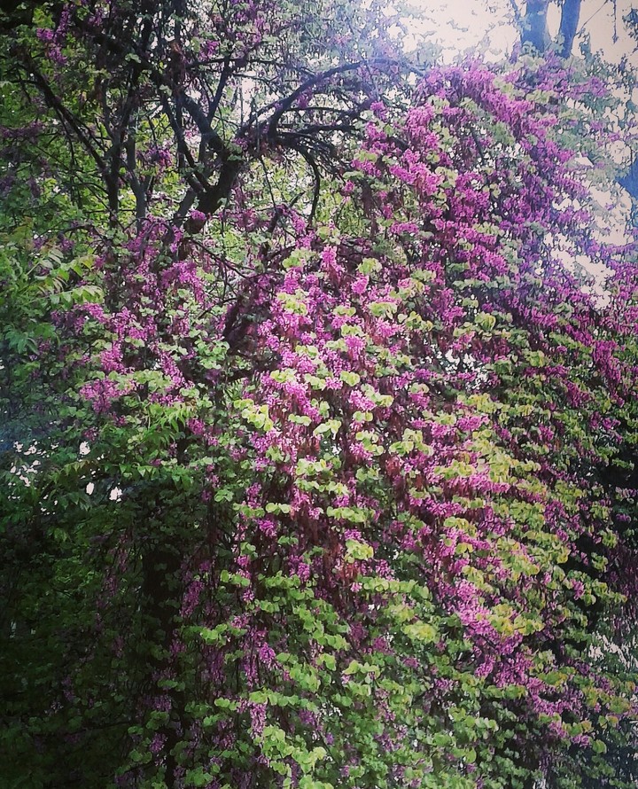 what the wonderful time. Spring.
