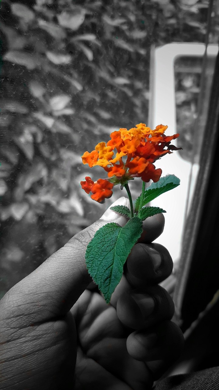 For You❤️