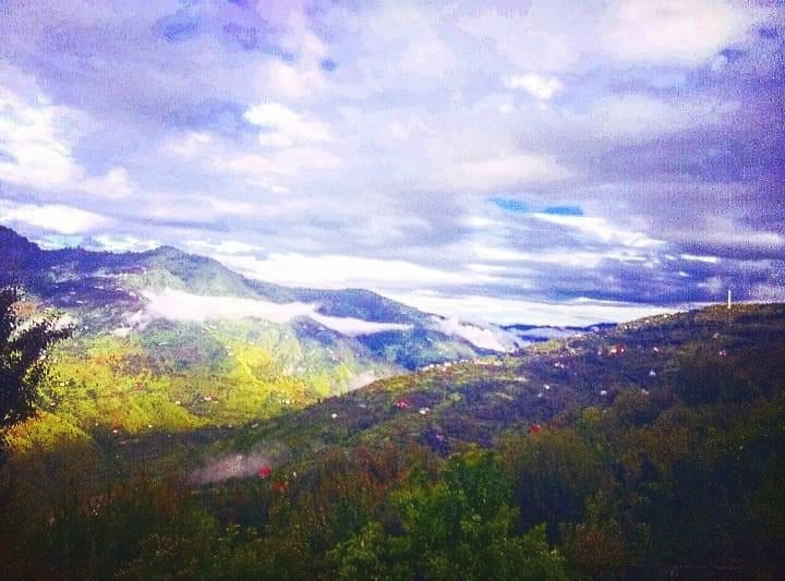 nature view