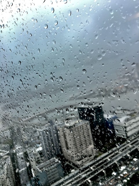 Rainy Day