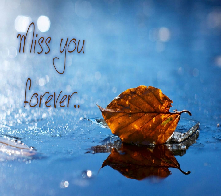 miss you forever