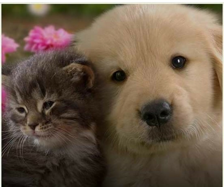 Best pic