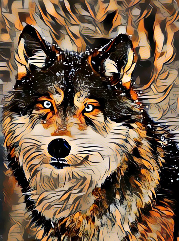 Poster Wolf