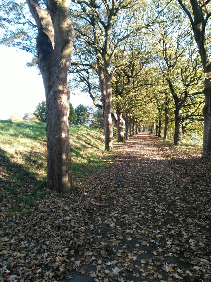 autumn sunny day