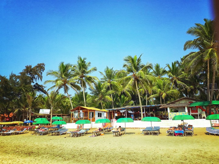 the beach n Palms