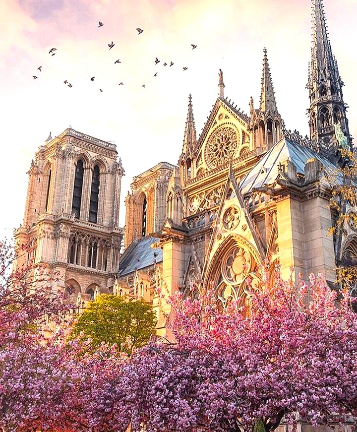 cathedrale Notre-dame de Paris