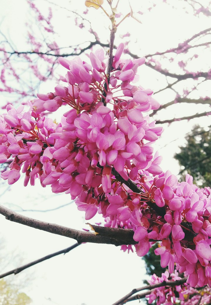 Nature lover, appreciate the Earth ♡♡♡