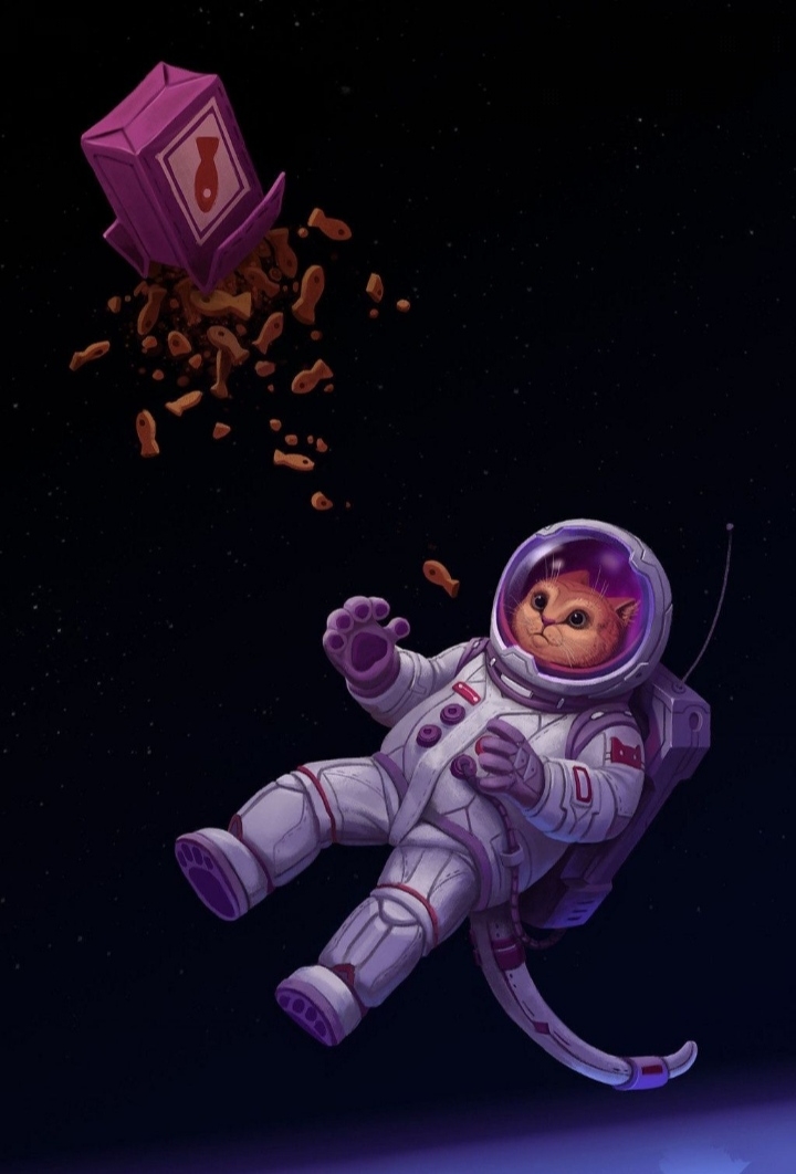 кот в космосе