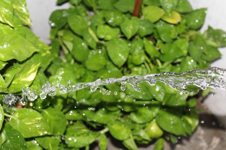 water