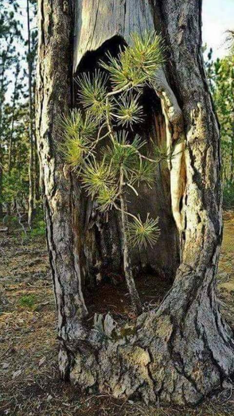 The big holds the small