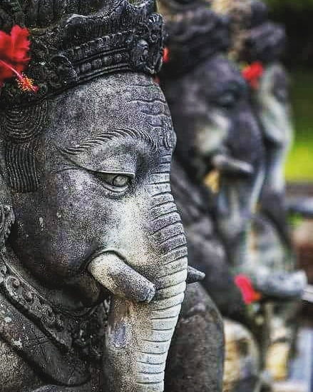 ____ vivek  ____ 
