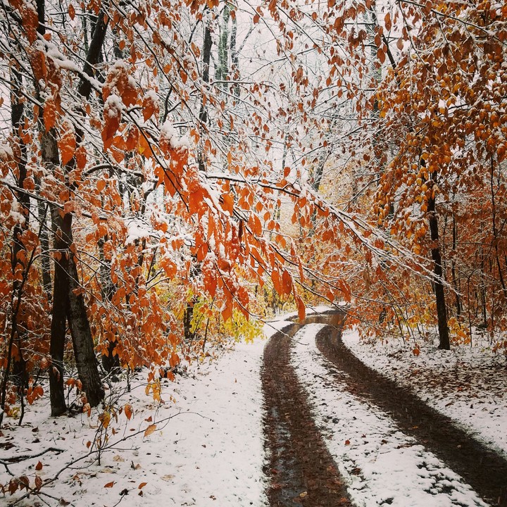 First Snow