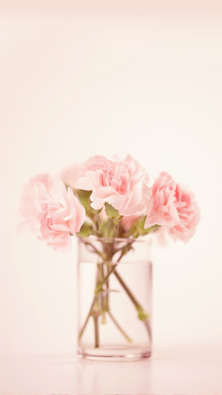 pink flower