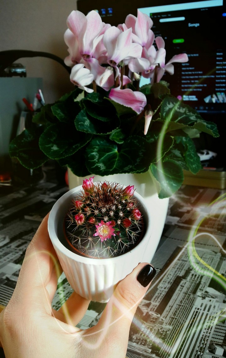new friend