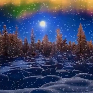 Nature ❄️❄️❄️