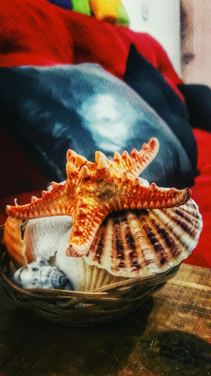 snails