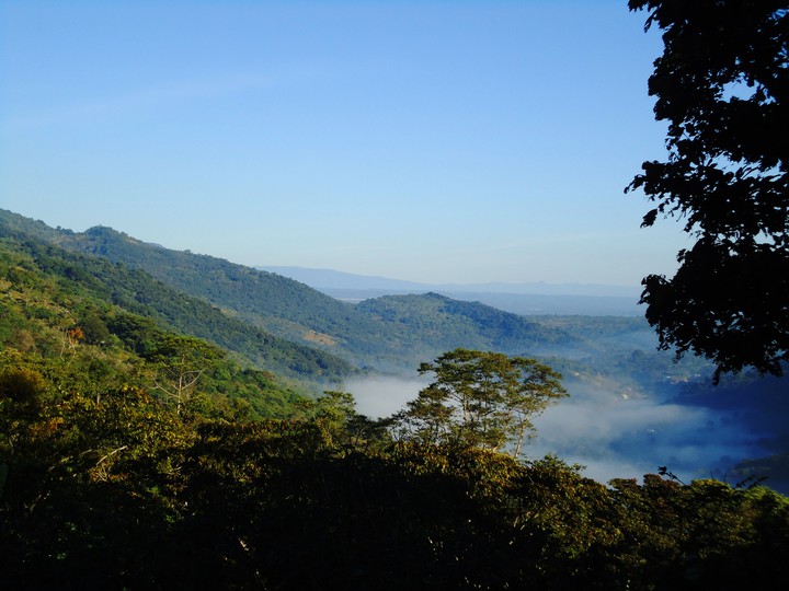 niebla en la montaña