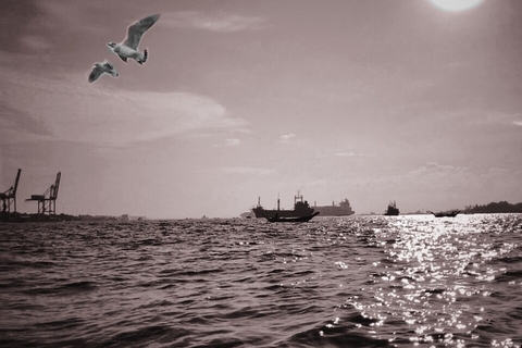 On the Water 5