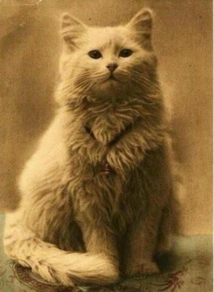 Dignified