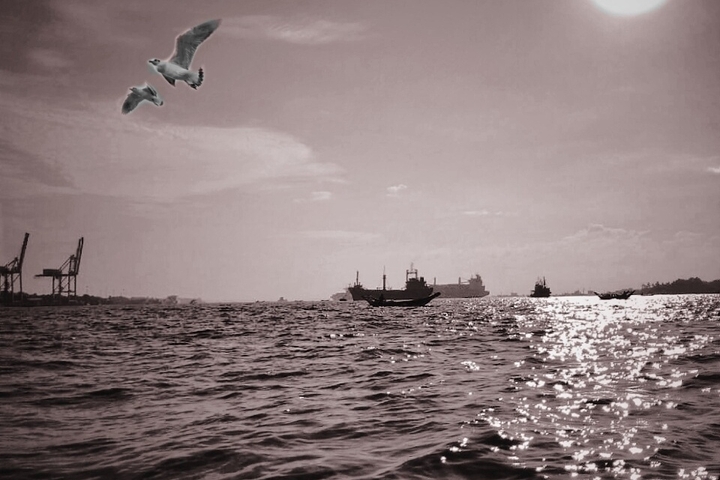 On the Water 5
