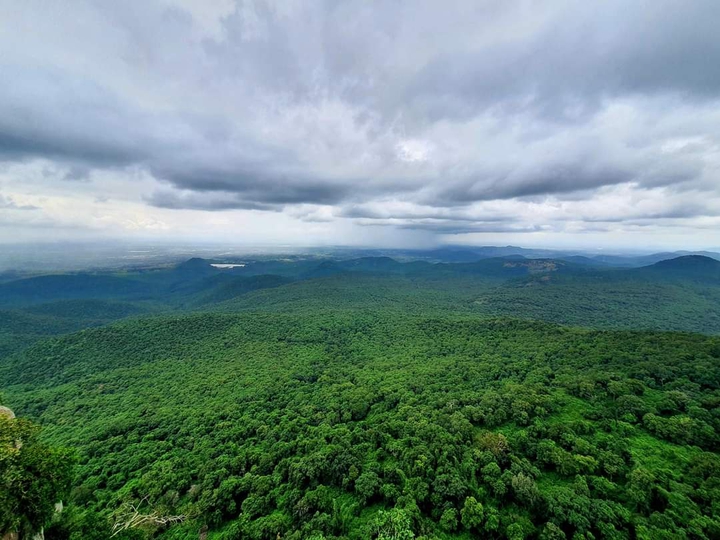 Nature Green