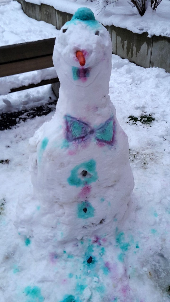 Snowman❄️