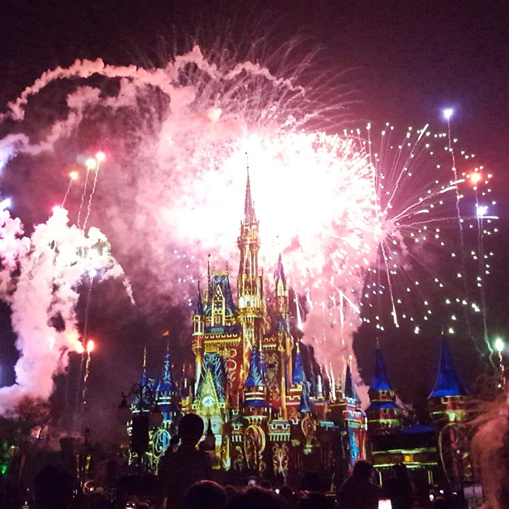 Walt Disney World
