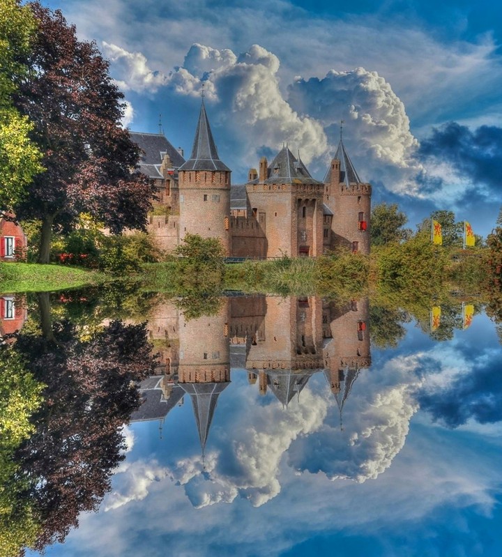Reflection