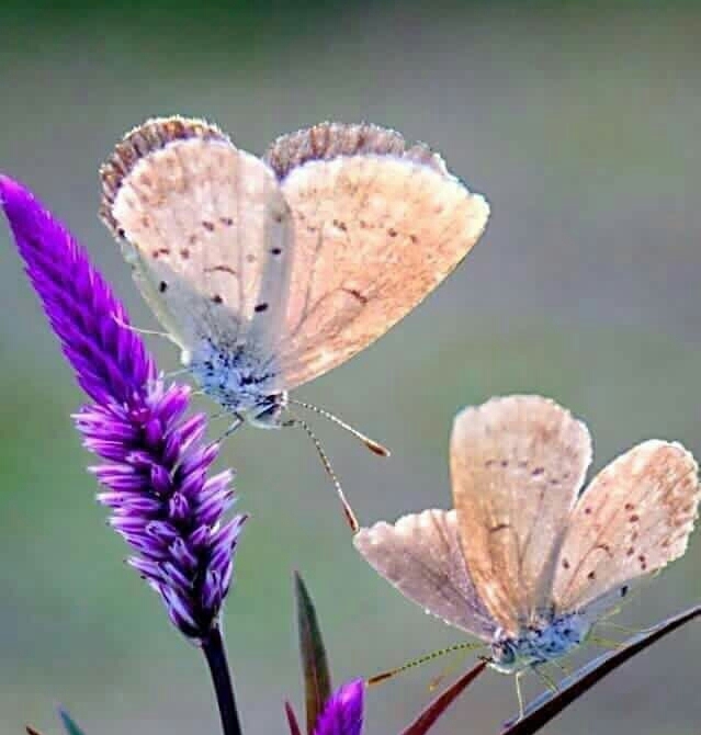 nature #