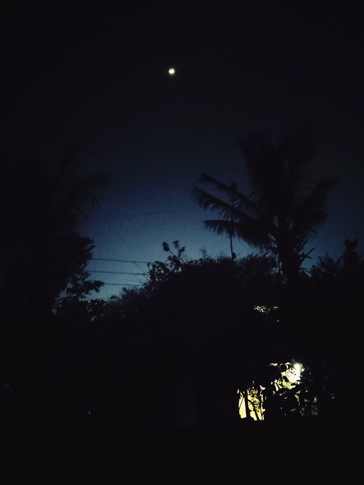 night beauty