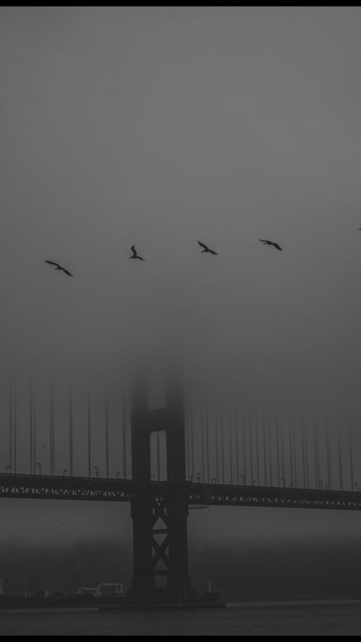bridge