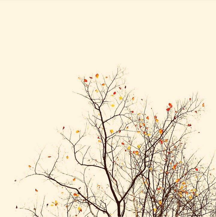 Autumn