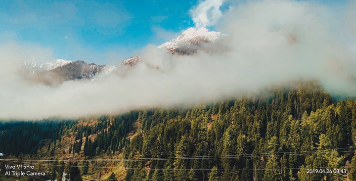 FOG MOUNTAIN