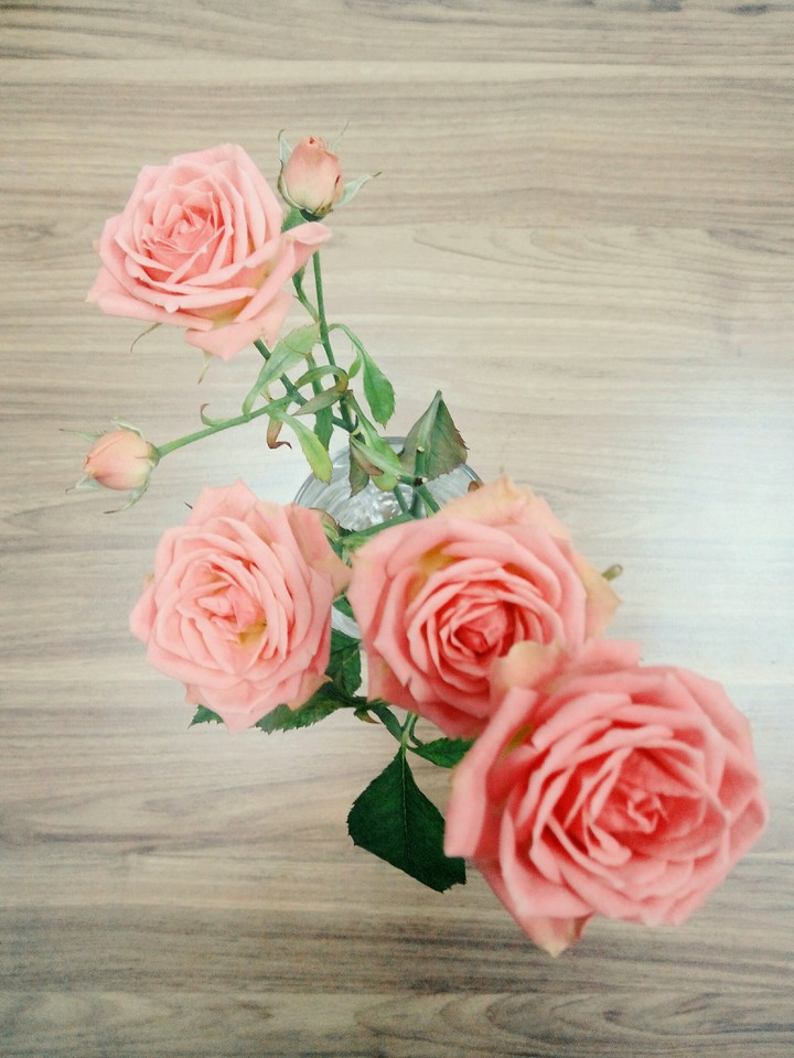 Some roses