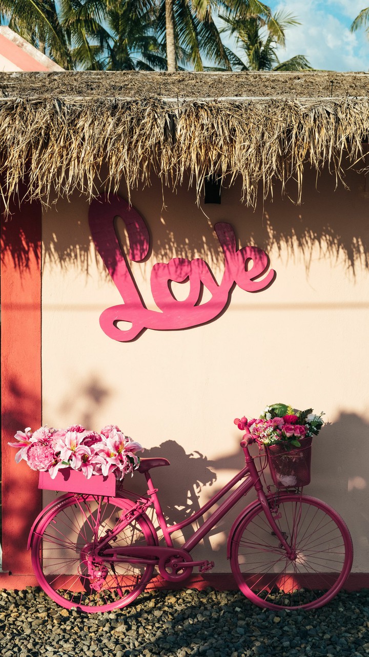 love